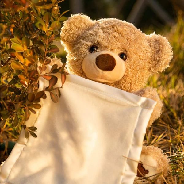 Hide & Hug Teddy (Rechargeable)