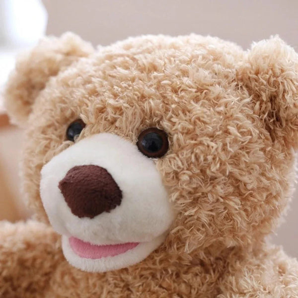 Hide & Hug Teddy (Rechargeable)
