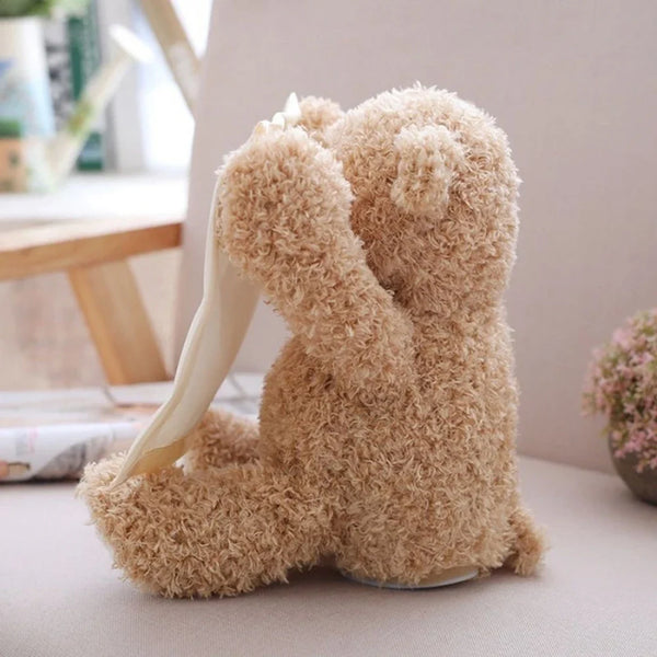 Hide & Hug Teddy (Rechargeable)