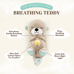 Breathing (Musical) Teddy Bear